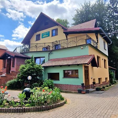 Pensjonat Bliss Polanica-Zdroj Exterior photo